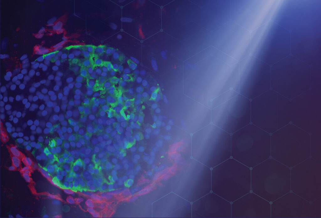 Spotlight on Organoids Organoids
