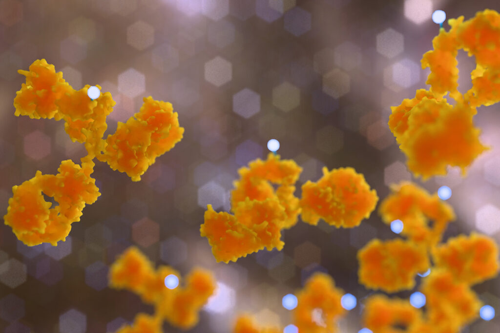 ADC (antibody drug conjugate)(orange)