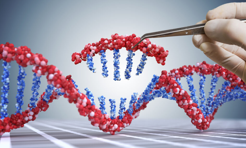 Genetic engineering, GMO and Gene manipulation concept. Hand is inserting sequence of DNA.  3D illustration of DNA.