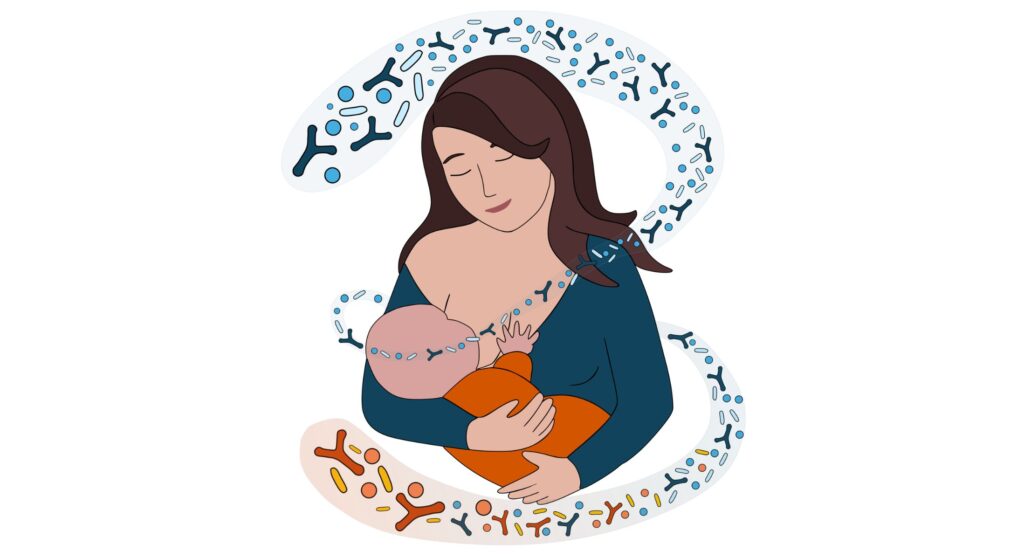 Breast milk bacteria help build a healthy infant gut