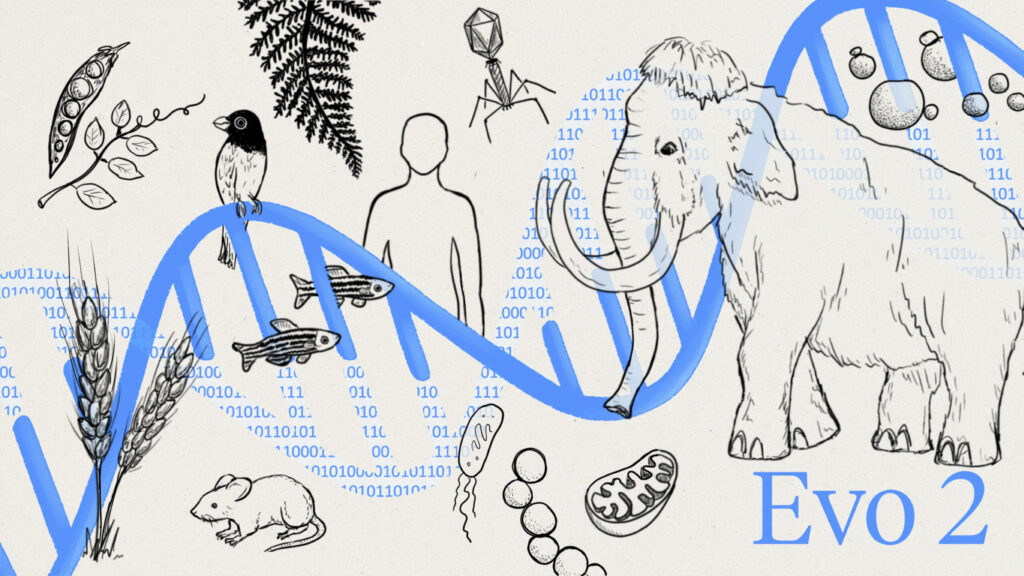 Evo 2 Reveals Evolution’s Genetic Secrets Evo 2 Reveals Evolution's Genetic Secrets