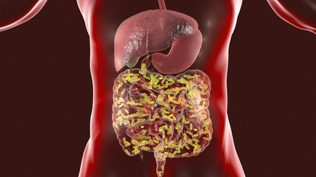 Gut Microbe Metabolites Linked with Heart Disease