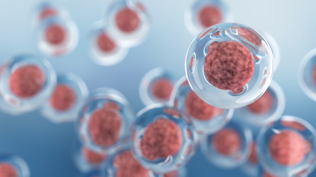 Stem Cells at the Frontier: Breakthroughs, Barriers, and What’s Next Embryonic stem cells